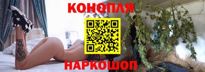 ешки Гай