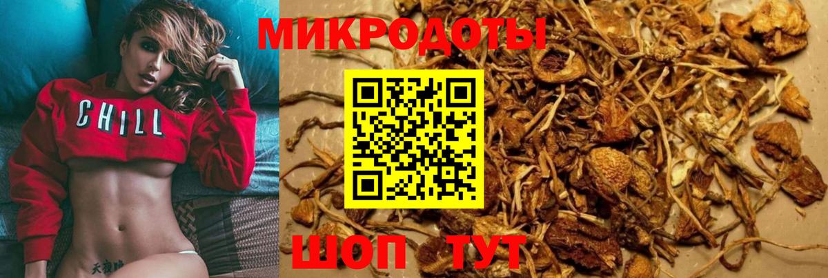 Искитим  Галлюциногенные грибы MAGIC MUSHROOMS  Вход с VPN 